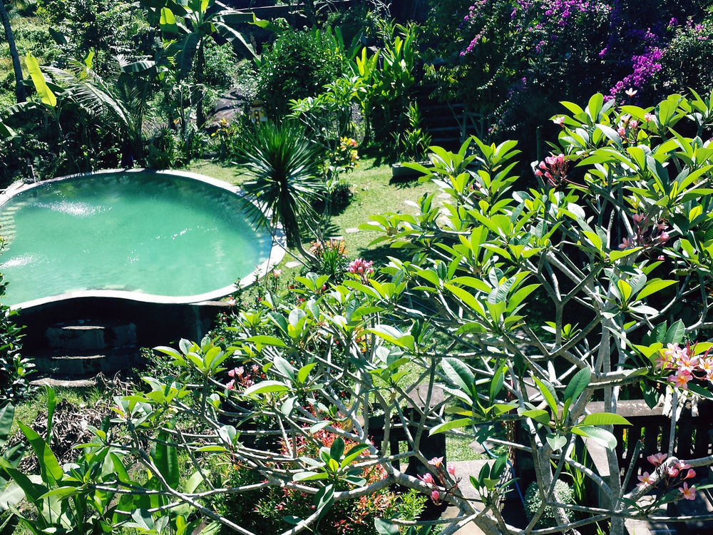 Oyo 1946 Terrace Campuhan Ubud Zewnętrze zdjęcie