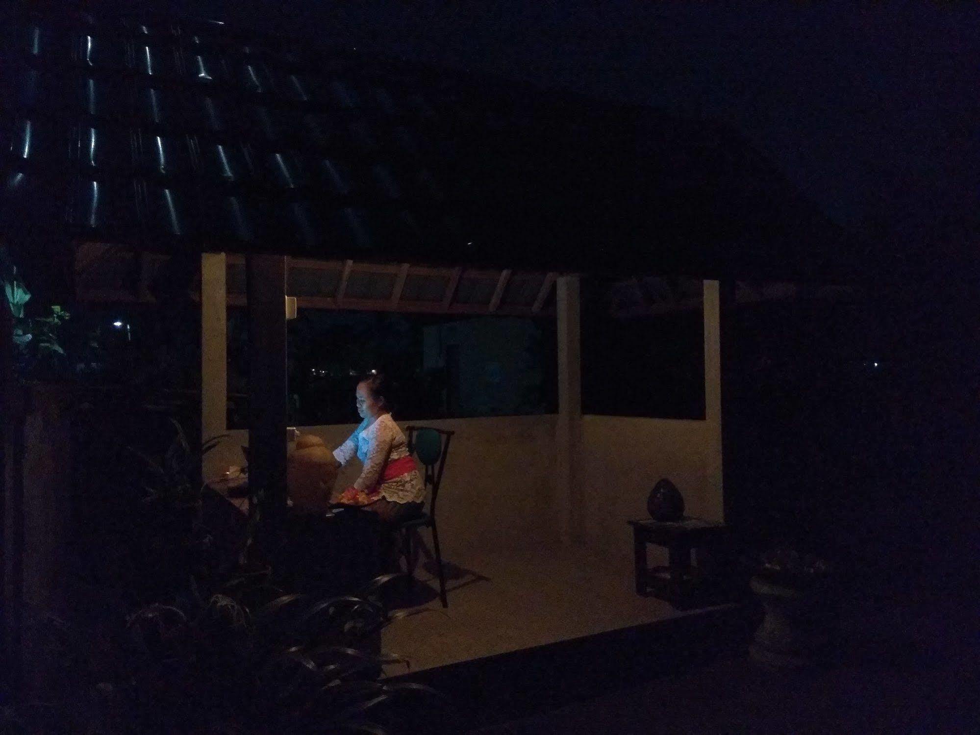 Oyo 1946 Terrace Campuhan Ubud Zewnętrze zdjęcie