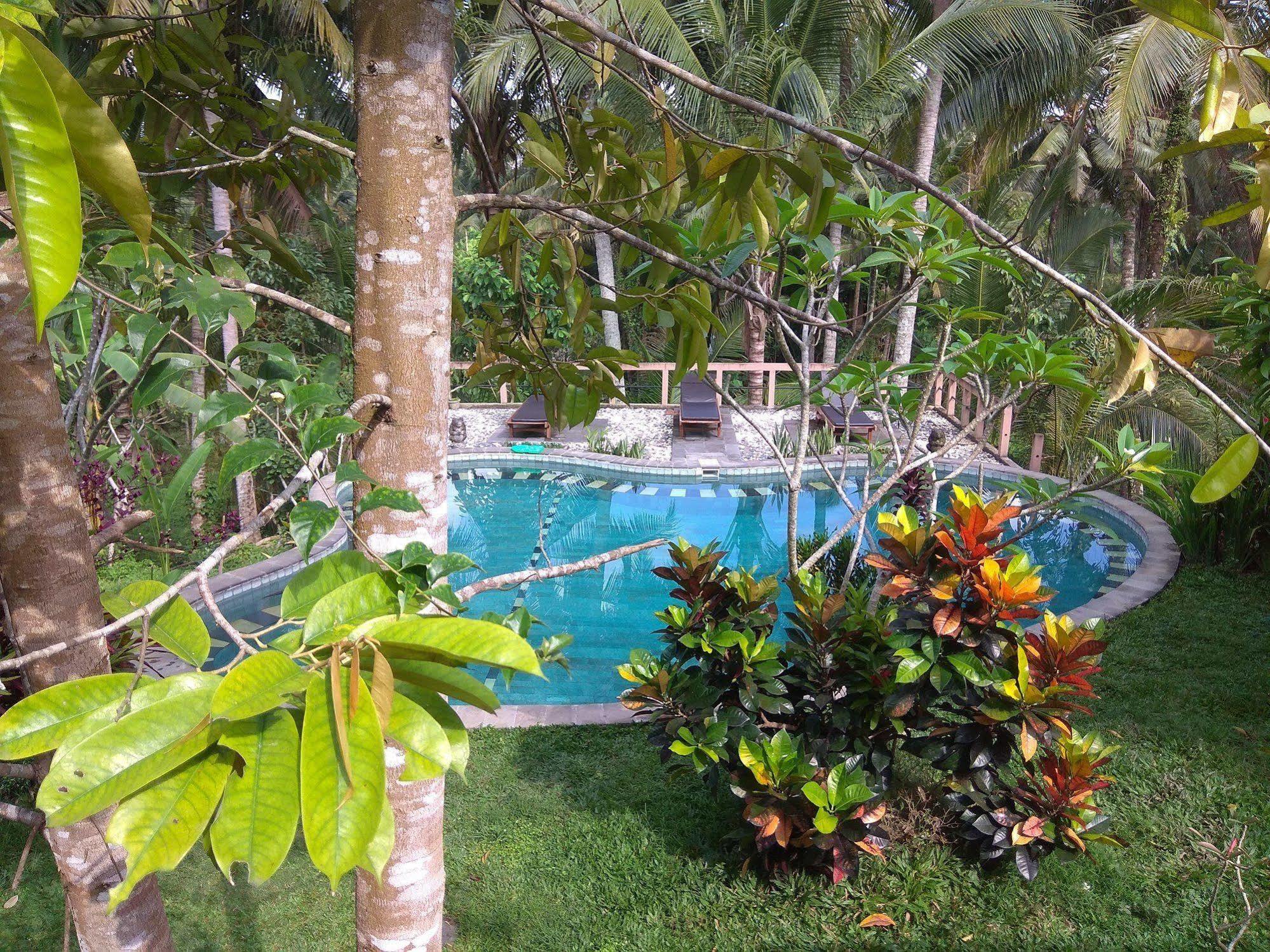 Oyo 1946 Terrace Campuhan Ubud Zewnętrze zdjęcie