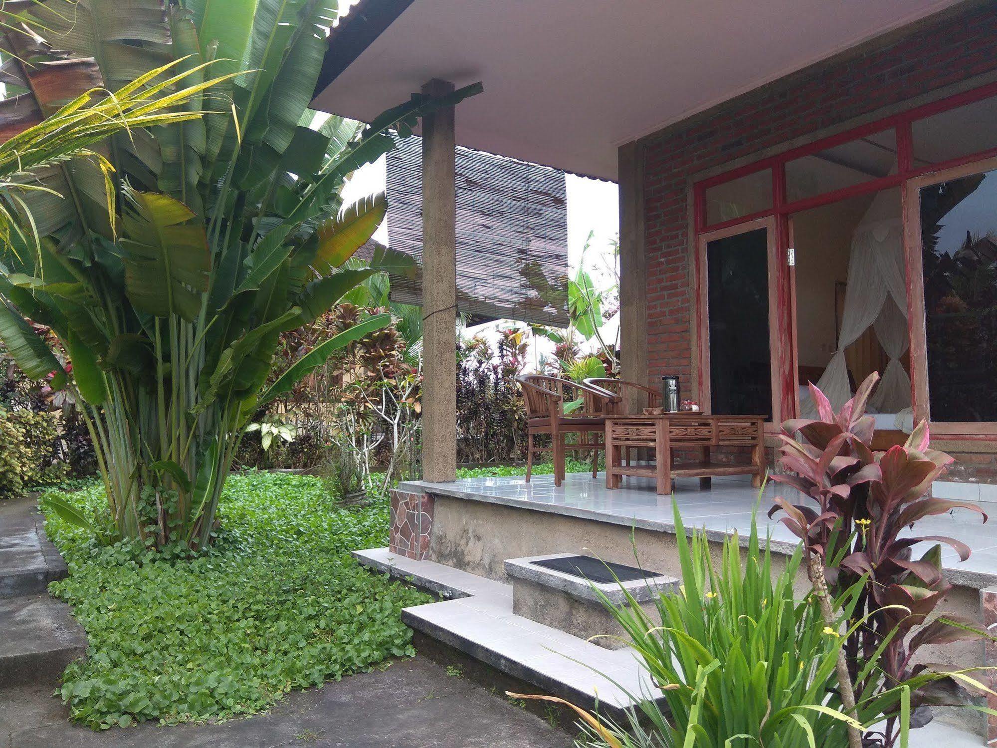 Oyo 1946 Terrace Campuhan Ubud Zewnętrze zdjęcie